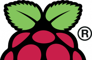 Top Half of Raspberry Pi Logo